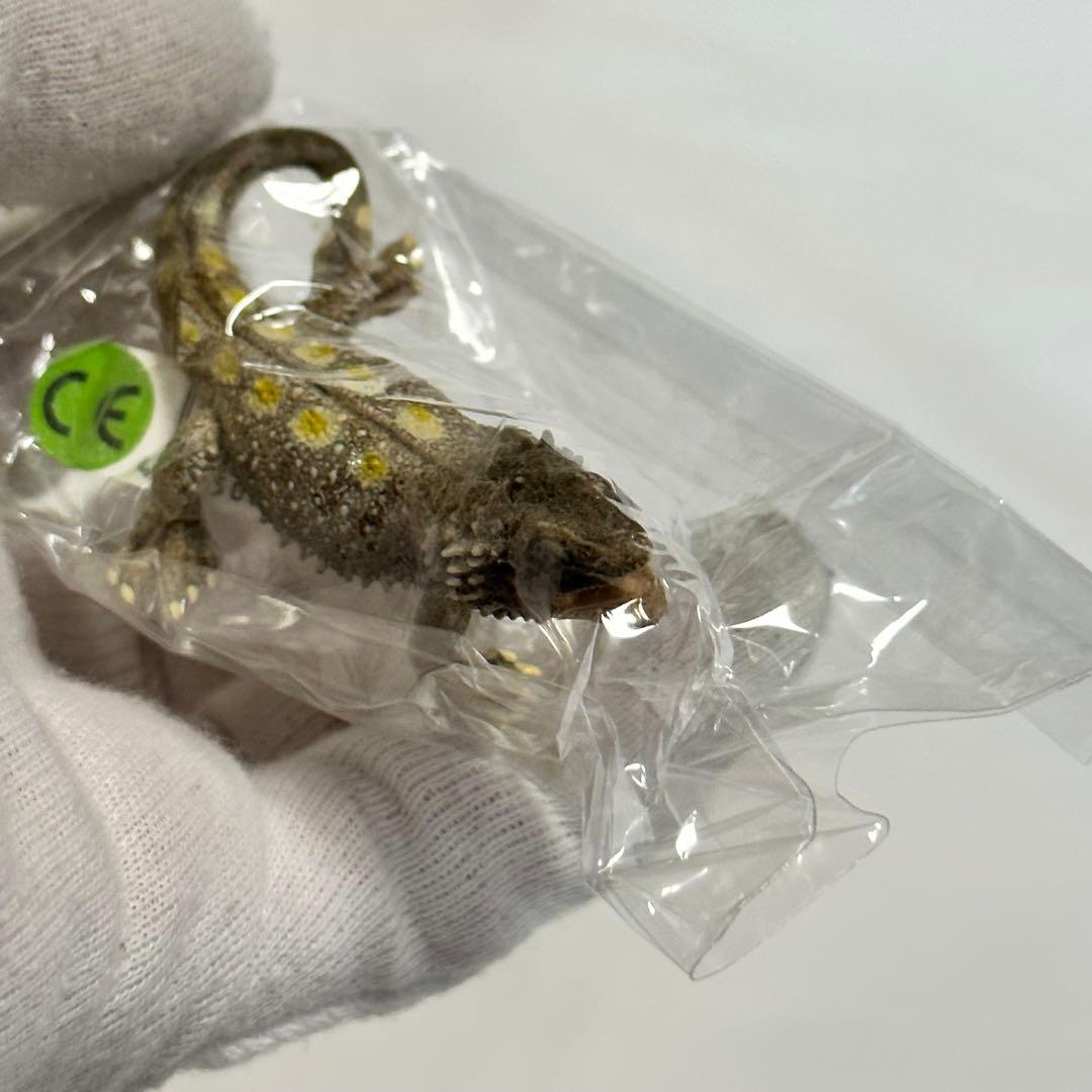 タグ付き 希少 廃盤 シュライヒ フトアゴヒゲトカゲ フィギュア 動物