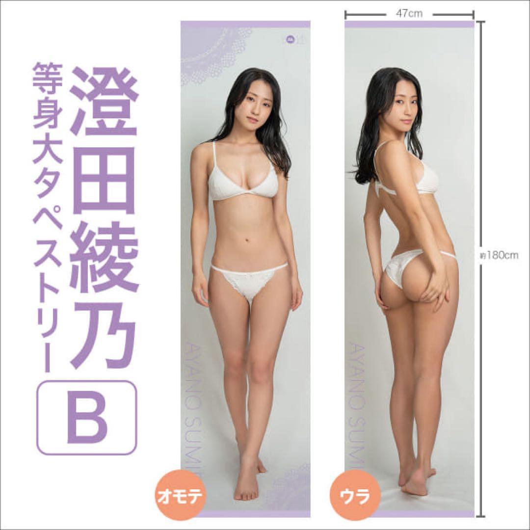 澄田綾乃 等身大タペストリーB 直筆サイン入り - メルカリ
