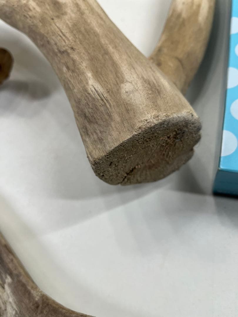 F7アク抜き済み流木セット 爬虫類シェルター 登り木 インテリア 生け花