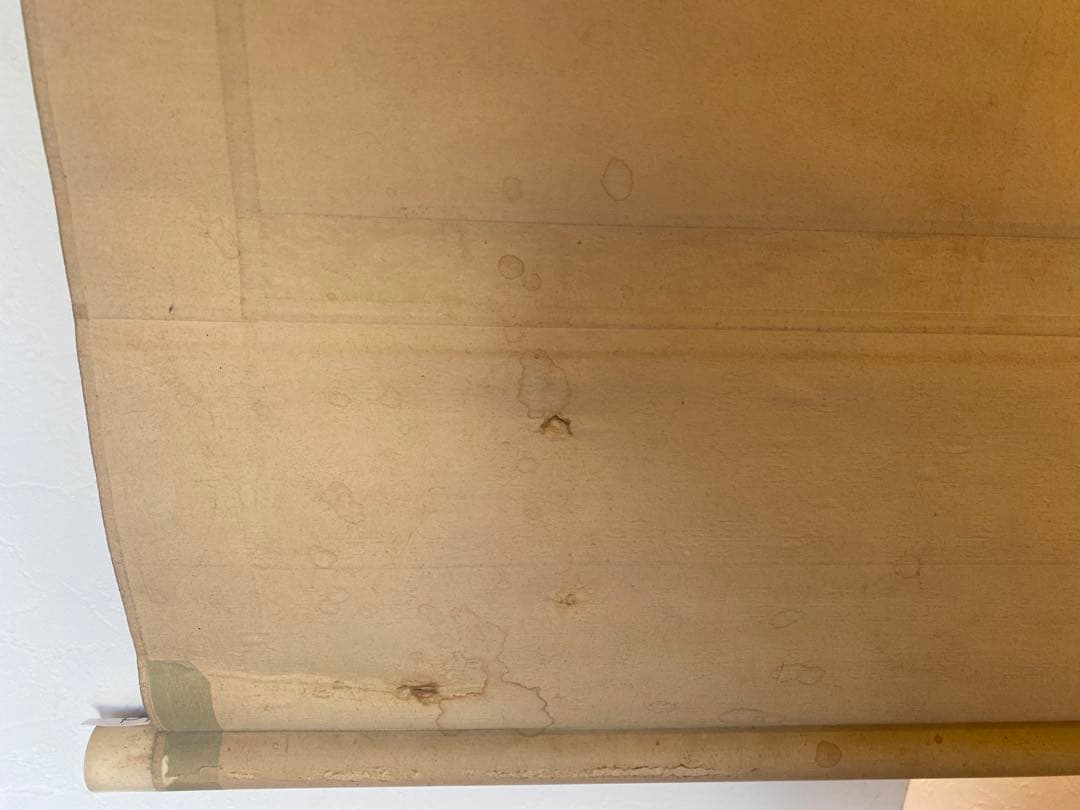 岡田錬石 錬石 飛鯉 鯉 躍鯉 出世鯉 日本画