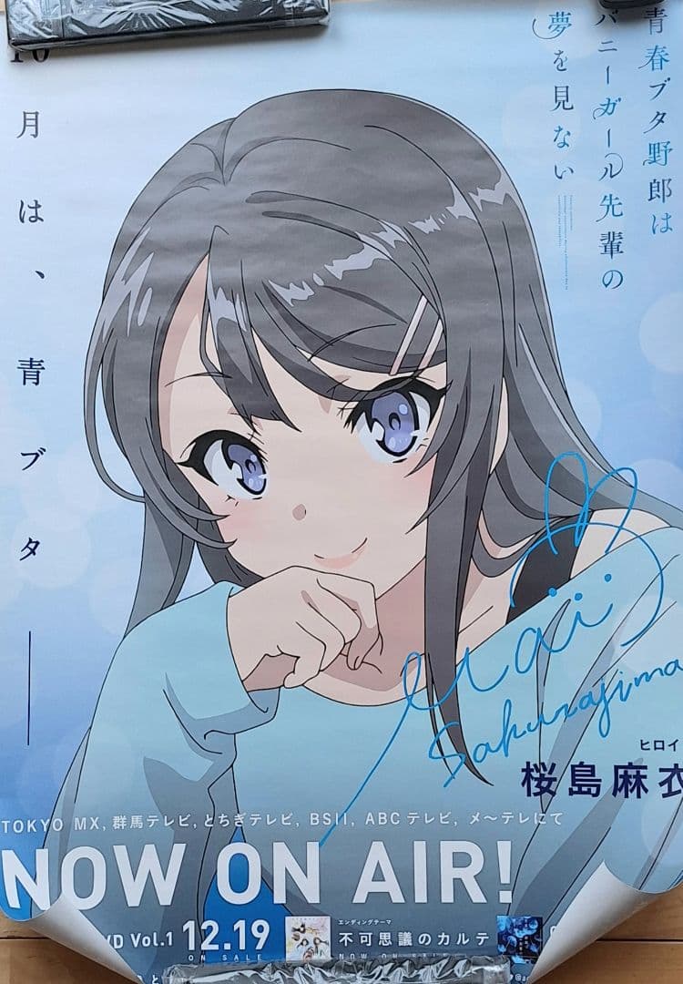 非売品］青春ブタ野郎はバニーガール先輩の夢を見ない 不可思議の