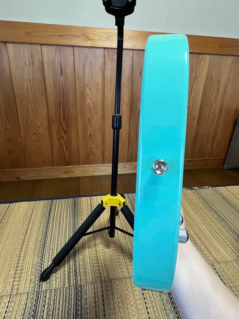 ギター Bacchus BTE-1-RSM SFG