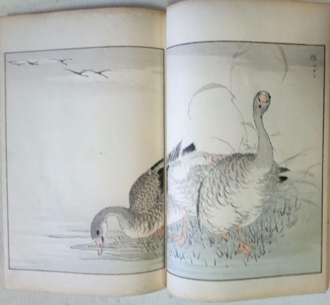 木版画本聚鳥畫譜大正5年再版三冊揃い天、地、人