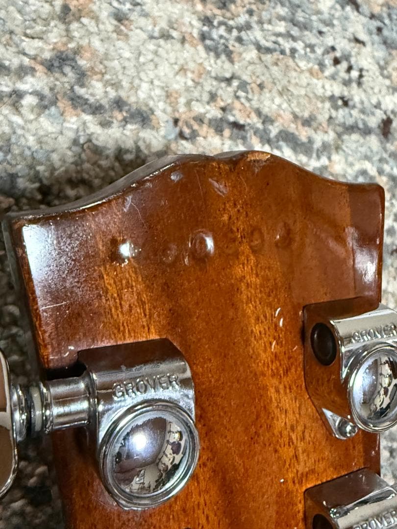 BURNY RLG 1978S DiMarzio & Roland synth