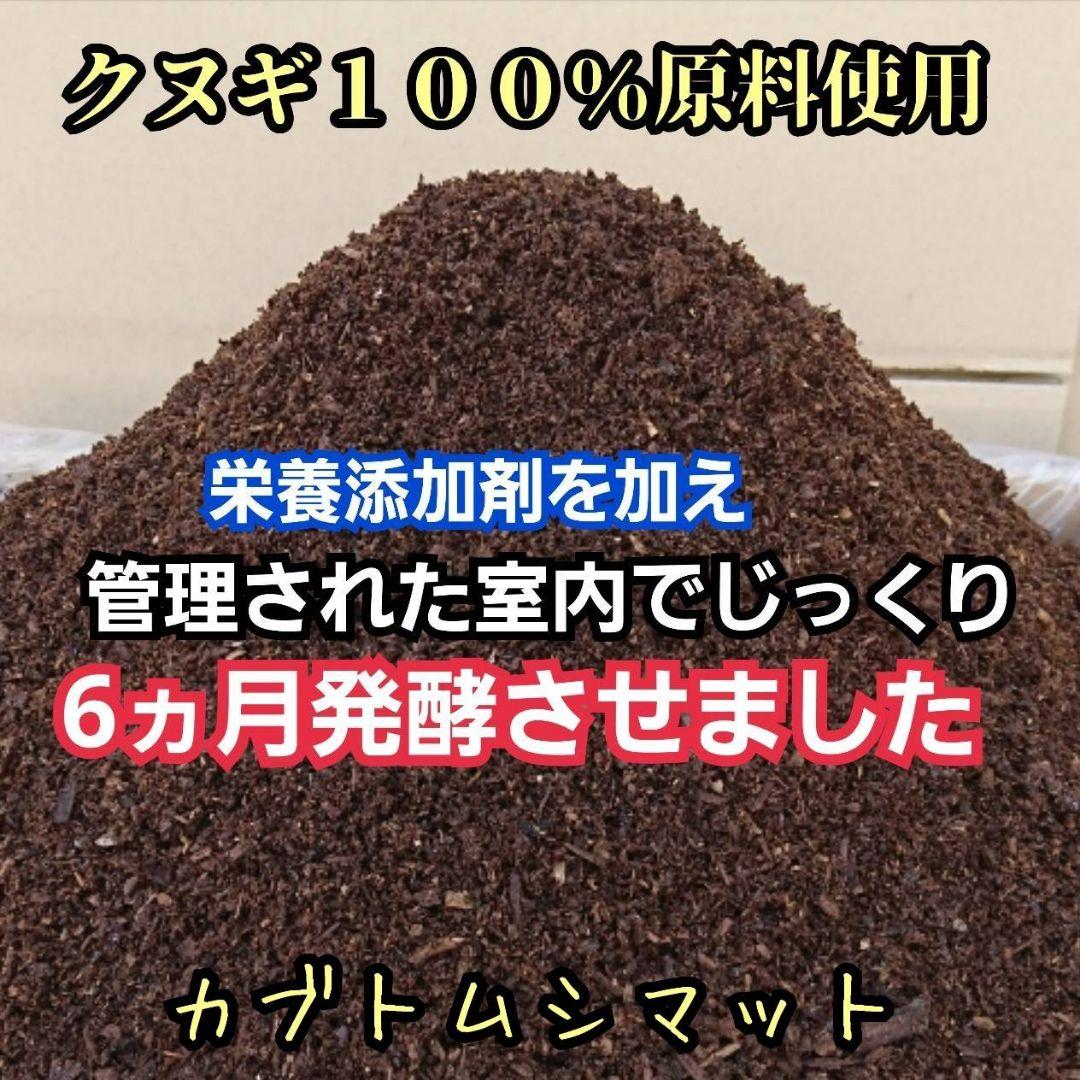 発酵マット入り！国産カブトムシ幼虫1頭飼育専用縦長クリアボト【30本
