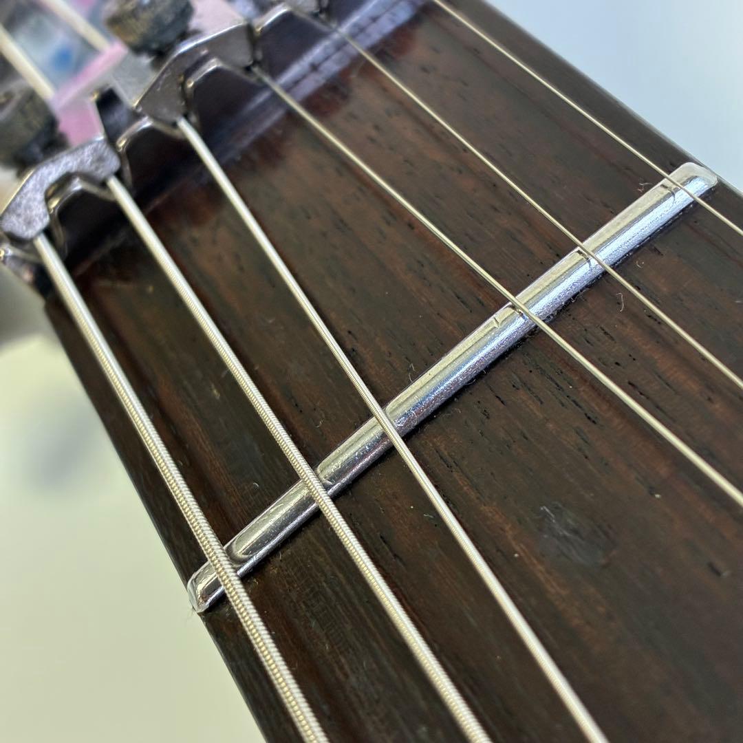 Grass Roots FOREST シースルーブラック アッシュボディ