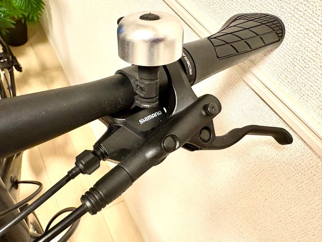 ⭐︎人気2022 Giant RX2 Disc ジャイアント ディスクブレーキ　M