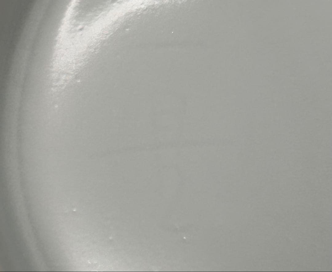 希少品】樋口一星 白磁 牡丹 中鉢 6客