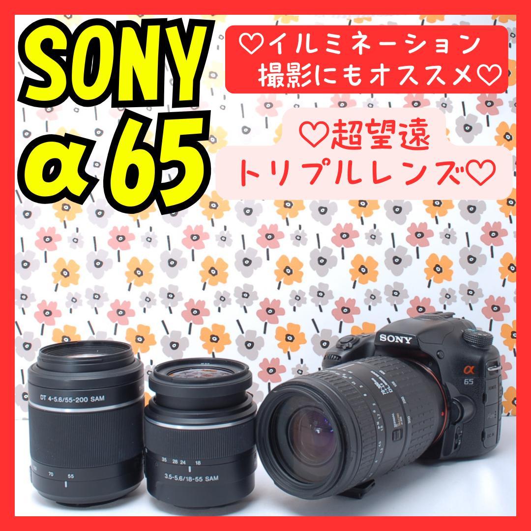 ❤即購入1000円OFF❤SONY α65❤超望遠トリプルレンズ❤超高画質