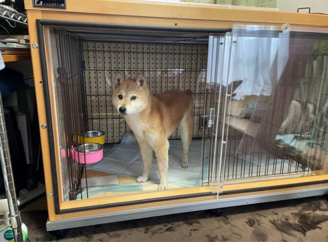 3104様 専用 防音ケージ キャスター 約102.5cm 72cm 84cm