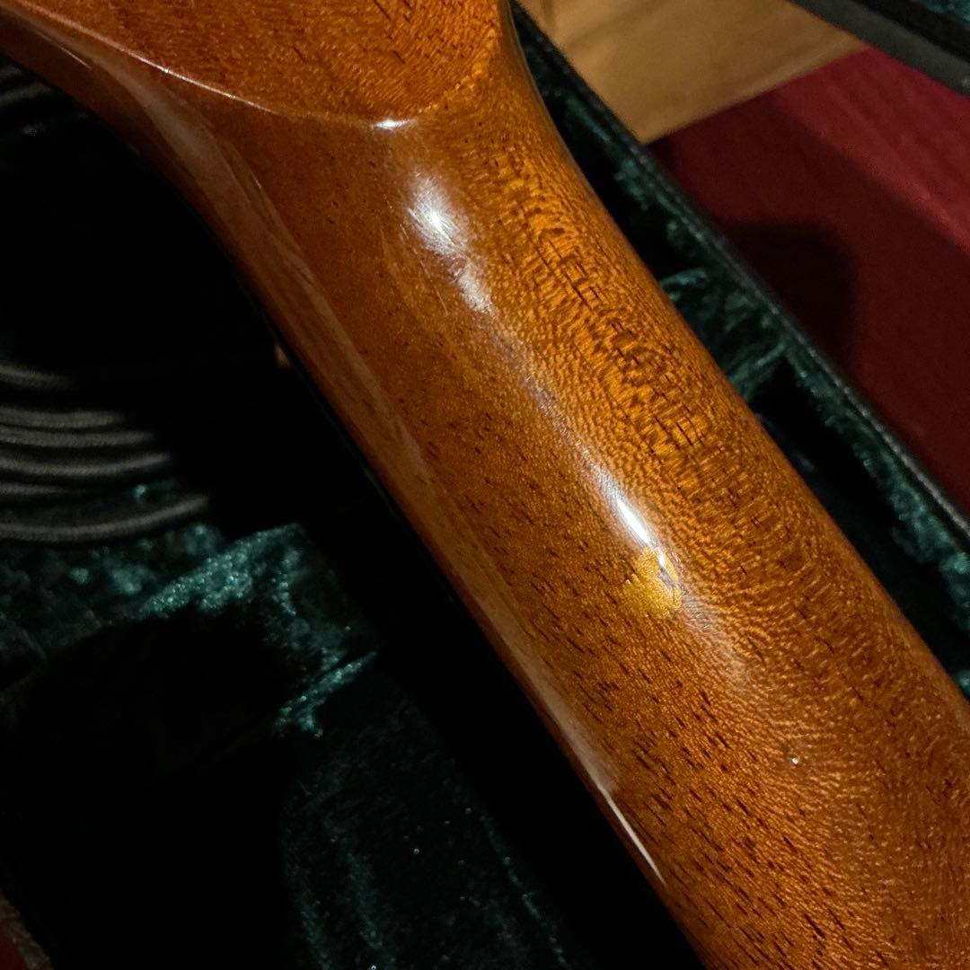 Vox Virage DC Custom “Butterfly”