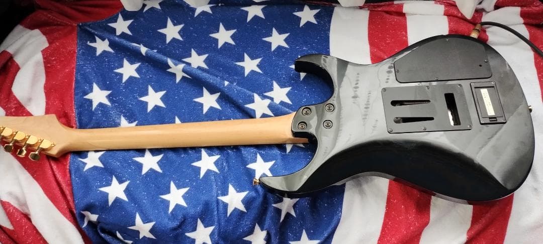 フェルナンデス サスティナー付き レフティ仕様