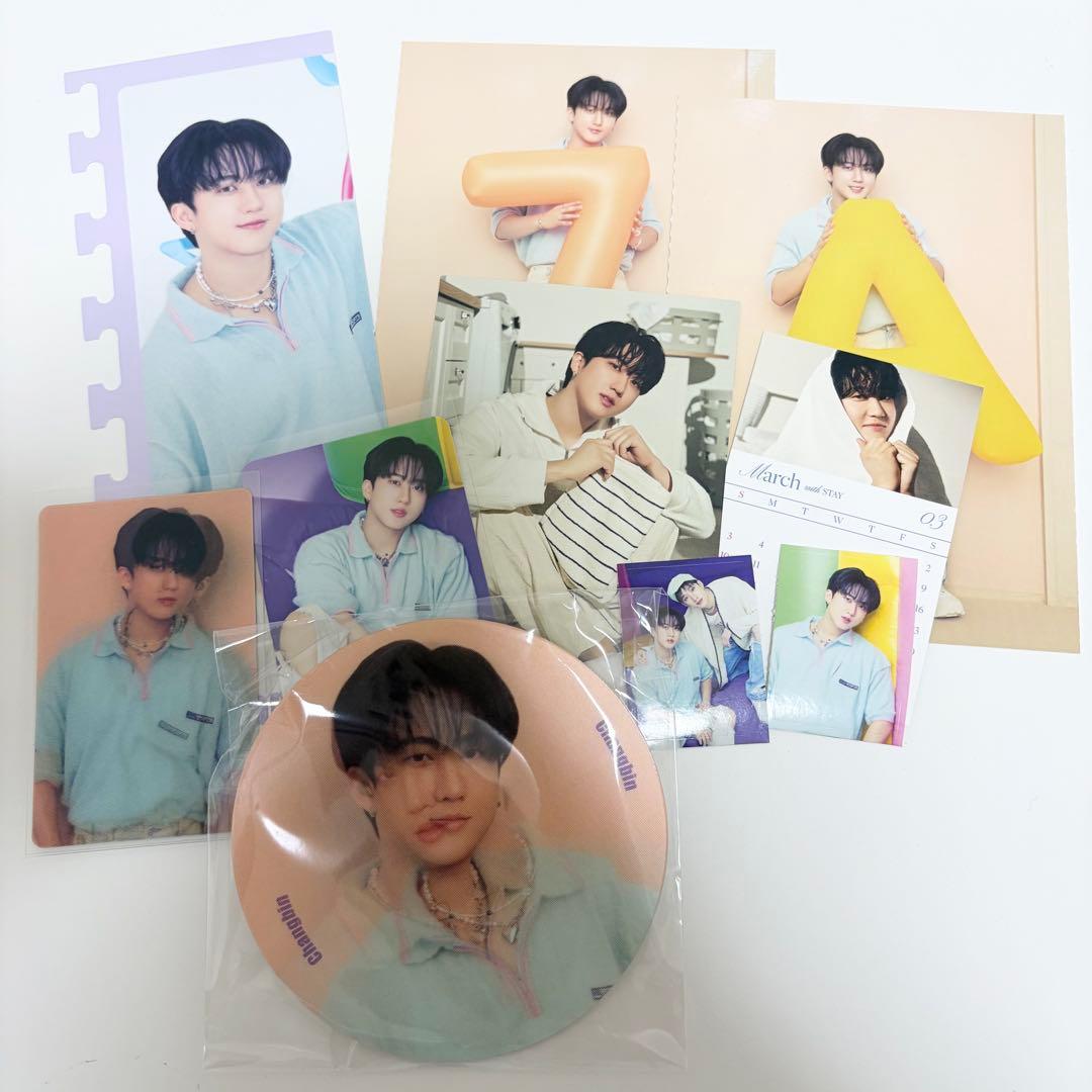 stray kids スキズ チャンビン まとめ売り シーグリ - メルカリ