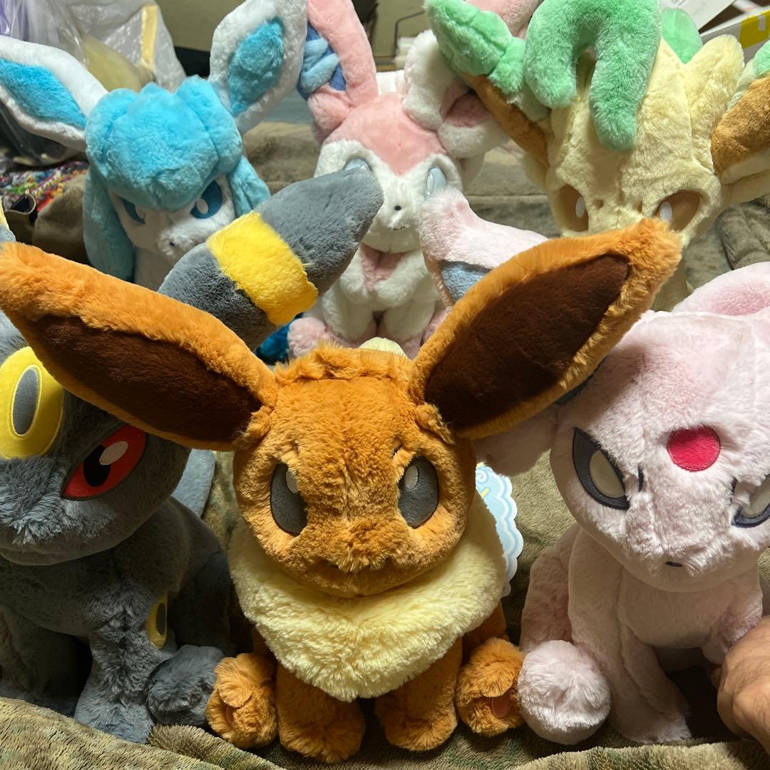 ポケモン ふわふわ抱きぬいぐるみ ブイズ6匹 - メルカリ