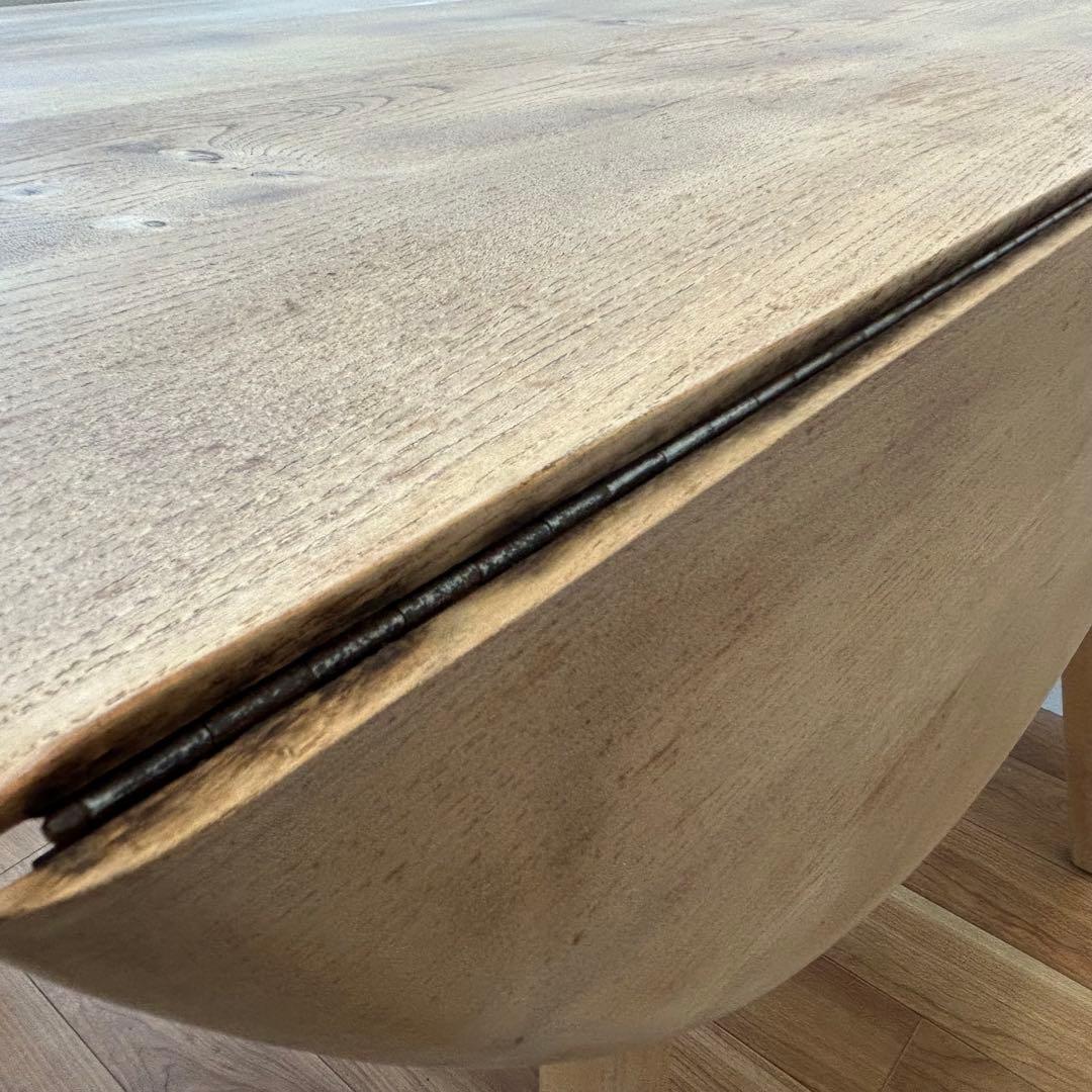 【Ryuji Maemichi】アーコール ドロップリーフ