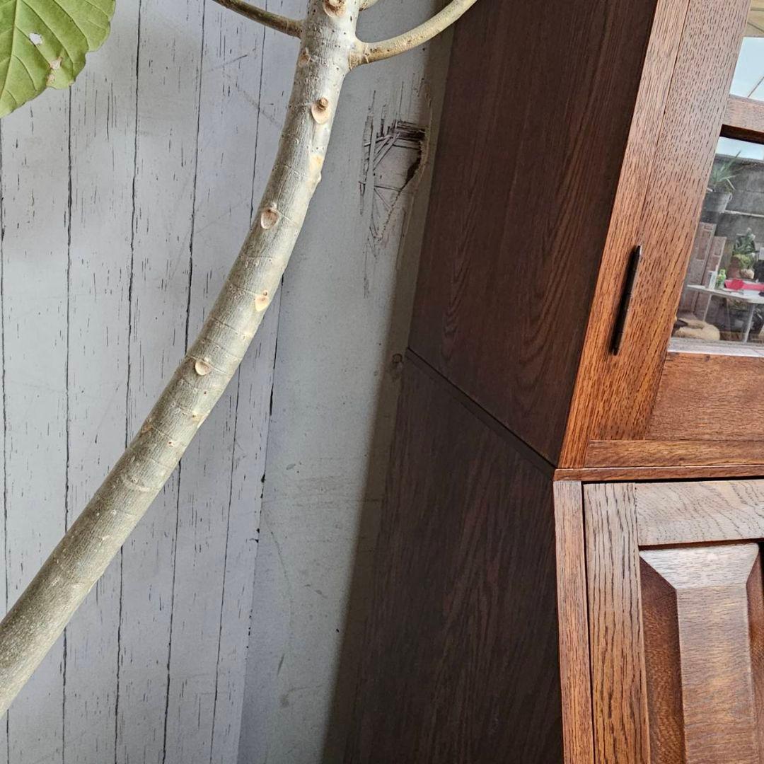 木製 本棚 吉田璋也？ 辰巳木工？ ビューローブックケース