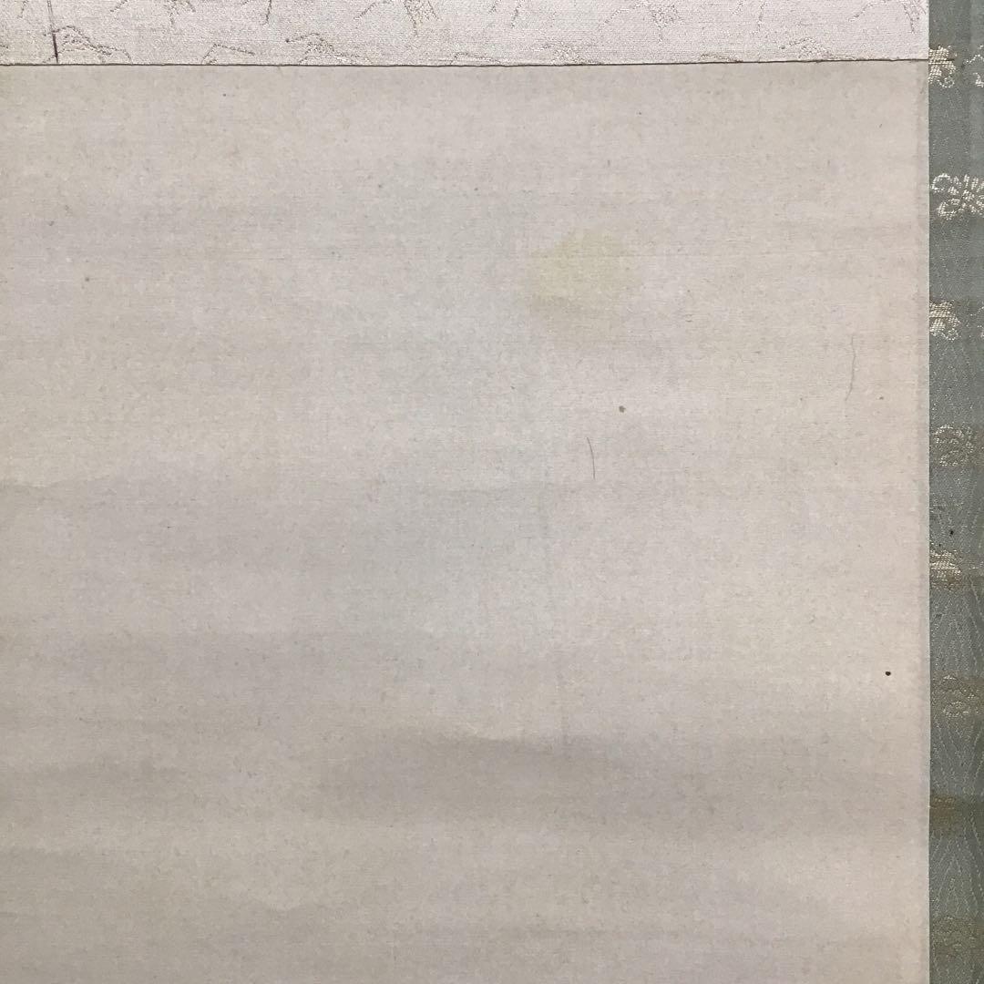 K茶道具 掛軸 杜若(かきつばた) 小寺雲洞作(明治ー昭和)共箱 S1014KJ K