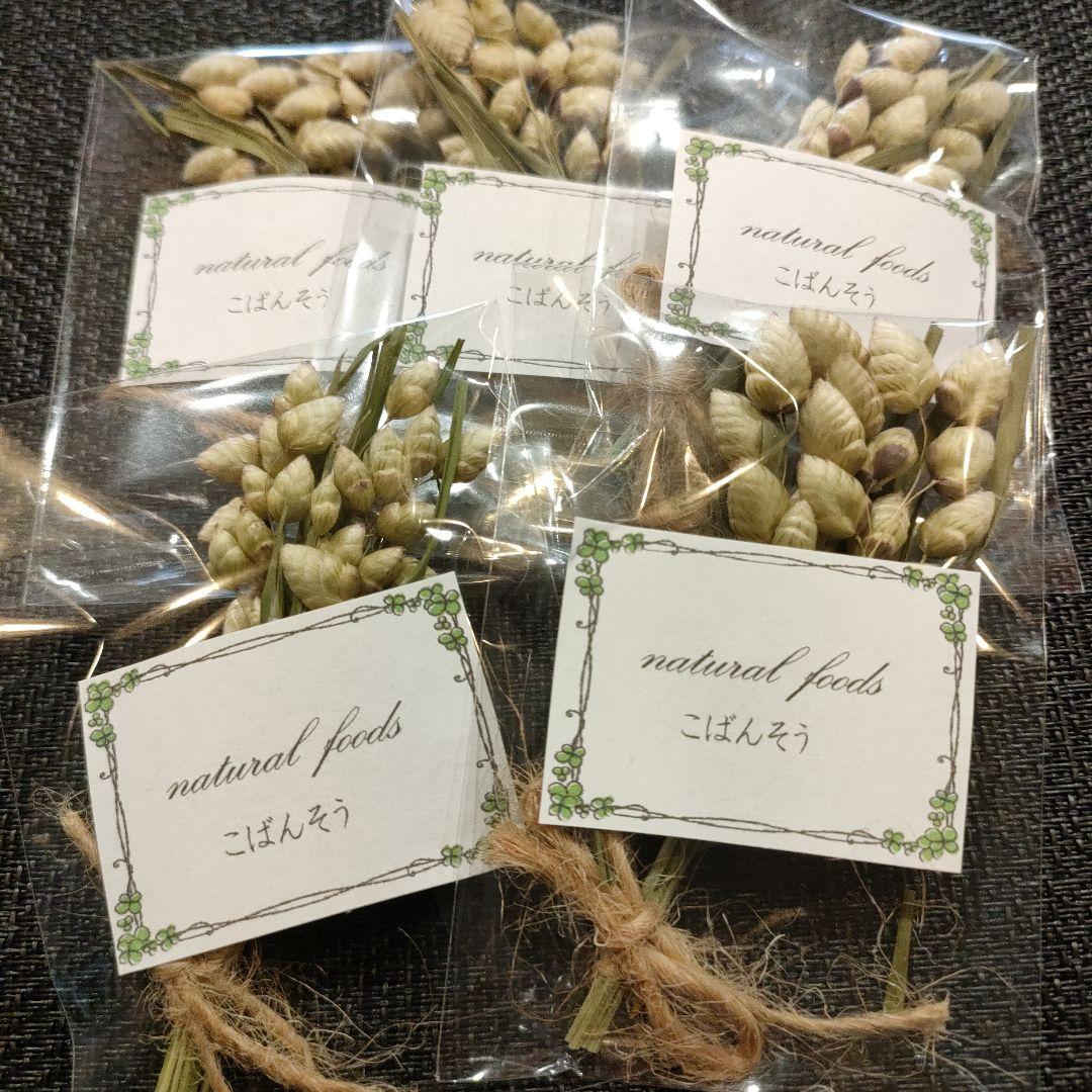 ギフト用】乾燥野草フルーツ詰め合わせ 小動物 おやつ