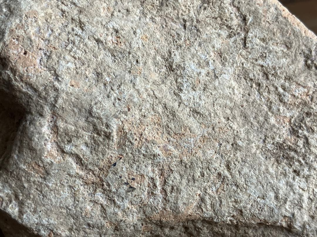 中国 古代の羊像 新石器時代後期頃 前3000～2000年】骨董発掘