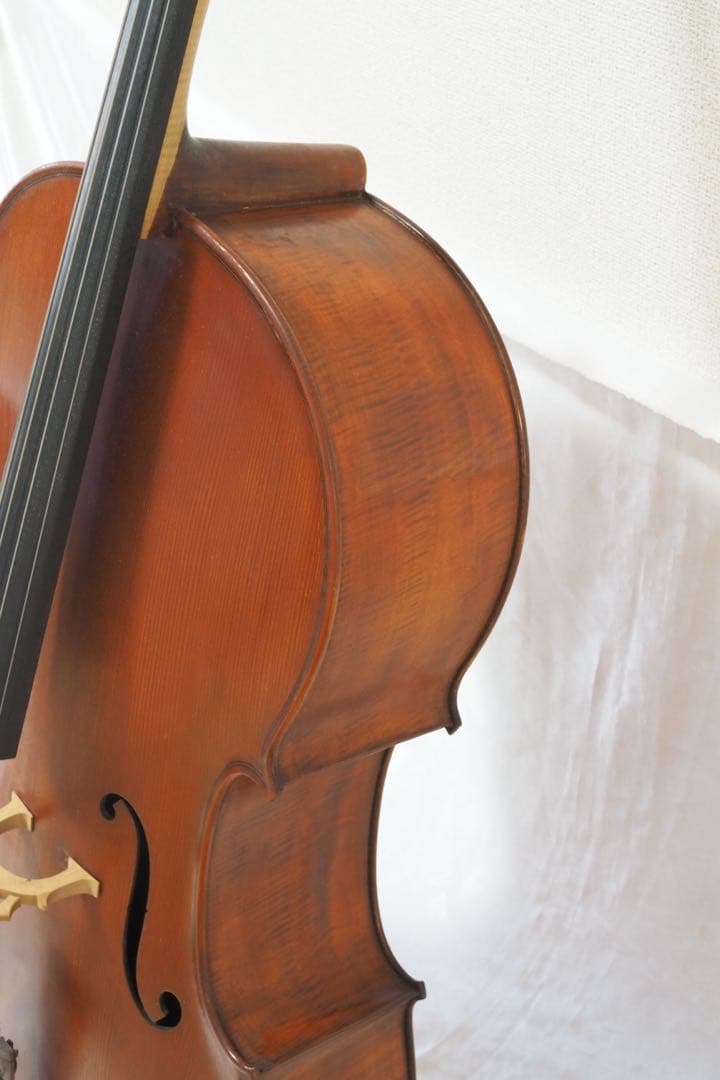 Gliga チェロ グリガ ムジリア Musilia 高級 ハードケース - メルカリ