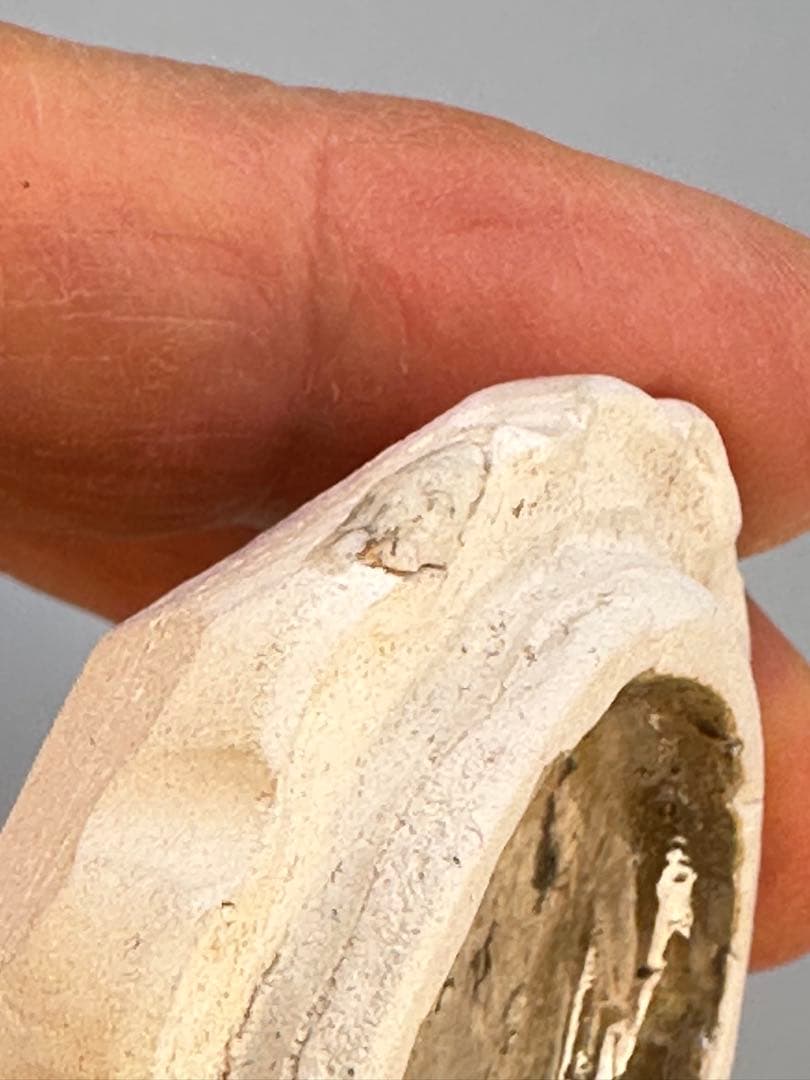 茶道具 香合 スミダ川半七 菊形 - メルカリ