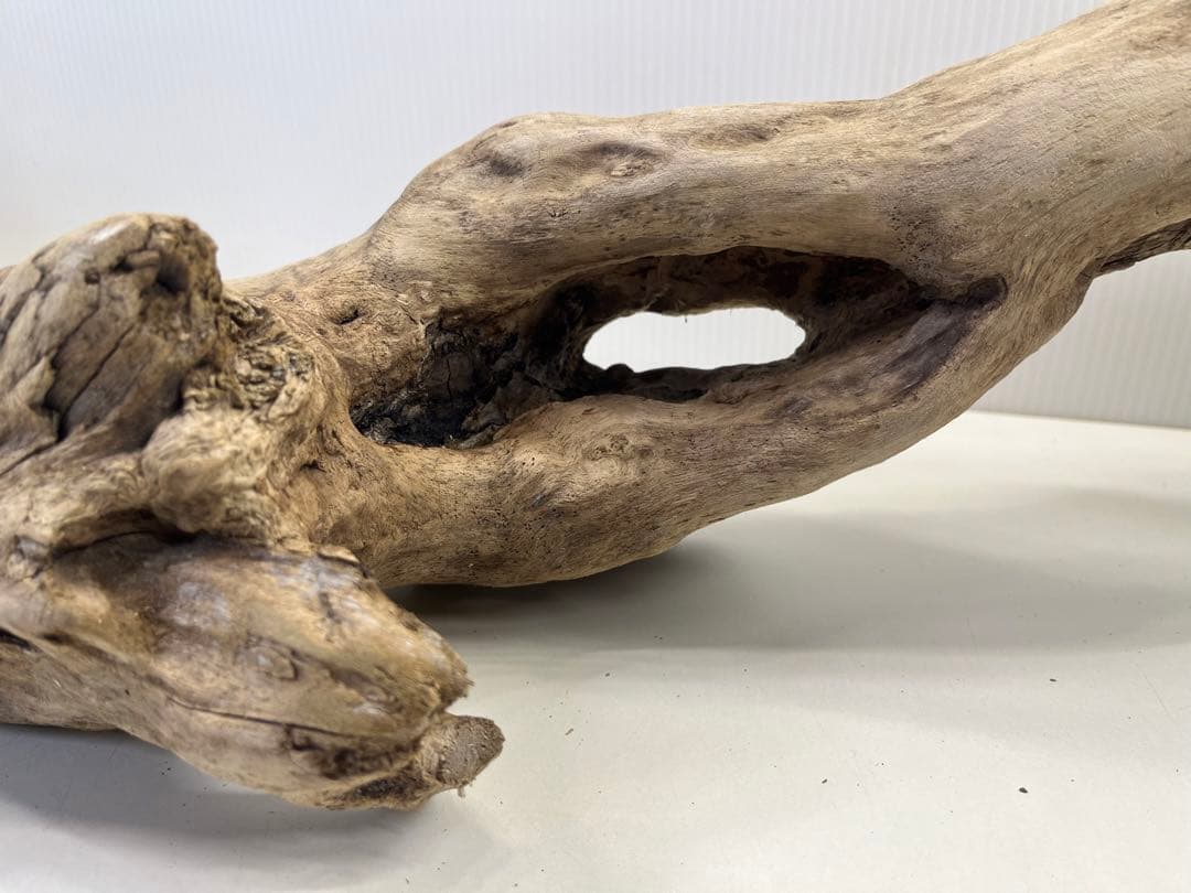 R64特大流木 アク抜き済み流木 爬虫類シェルター 登り木 インテリア 生け花