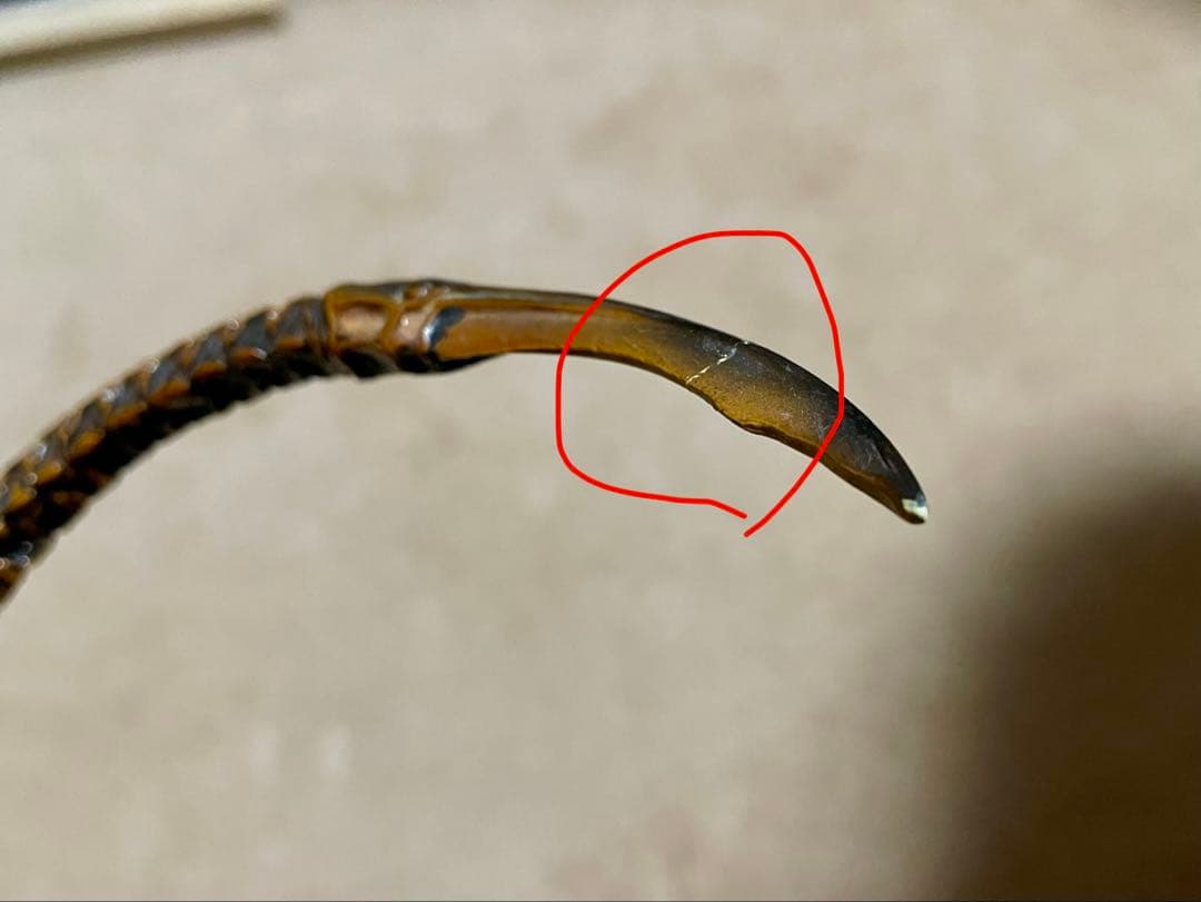 サイドショウ エイリアン3 ドッグ・エイリアン スタチュー【破損あり・箱なし】