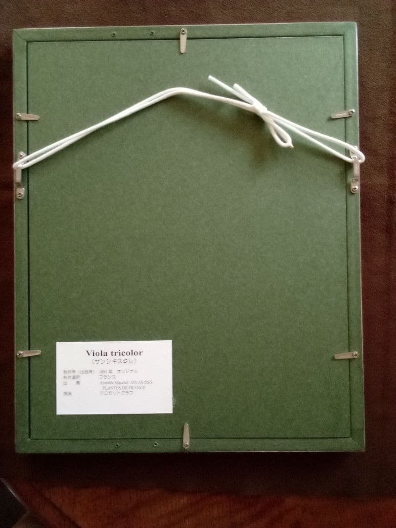 フランス ボタニカル画 石版画の額装品 1891年