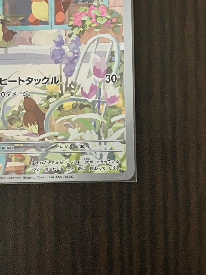 ゼニガメ　ヒトカゲ　フシギダネ　ar セット