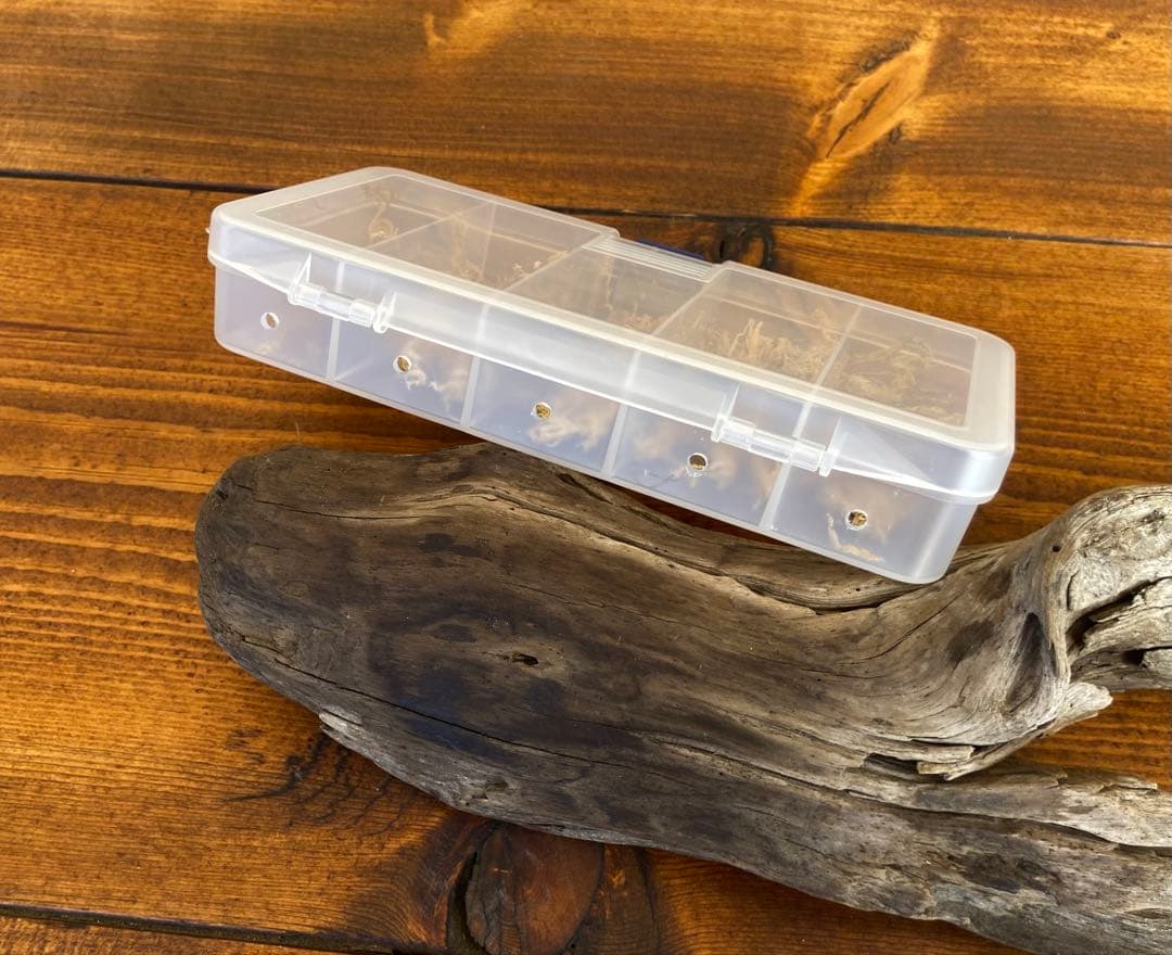 クワガタ採集セット 迷彩柄 オリジナル掻き出し棒 デジタルノギス 採集