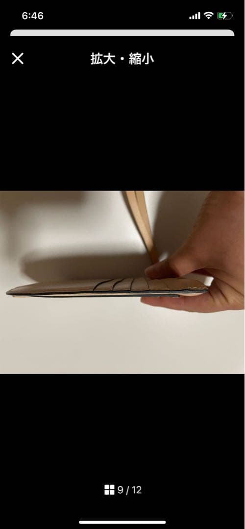 DELVAUX ベージュ ケース