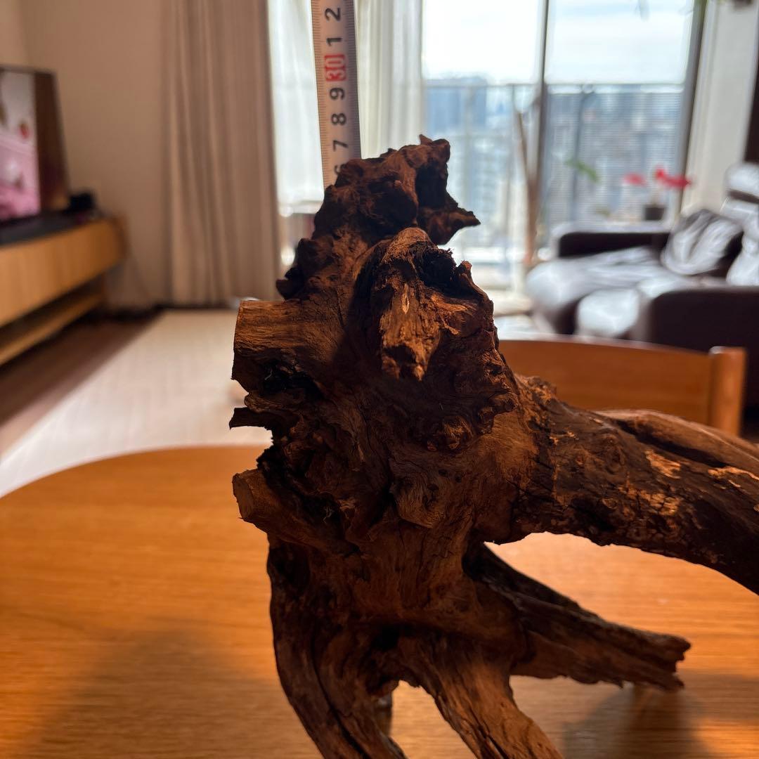 ADA流木 ＊まとめ買いの場合は引き