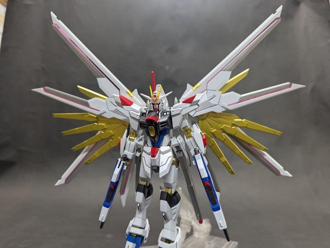 HGズゴック キャリアバーアイフリット、マイティーストライクフリーダム付き