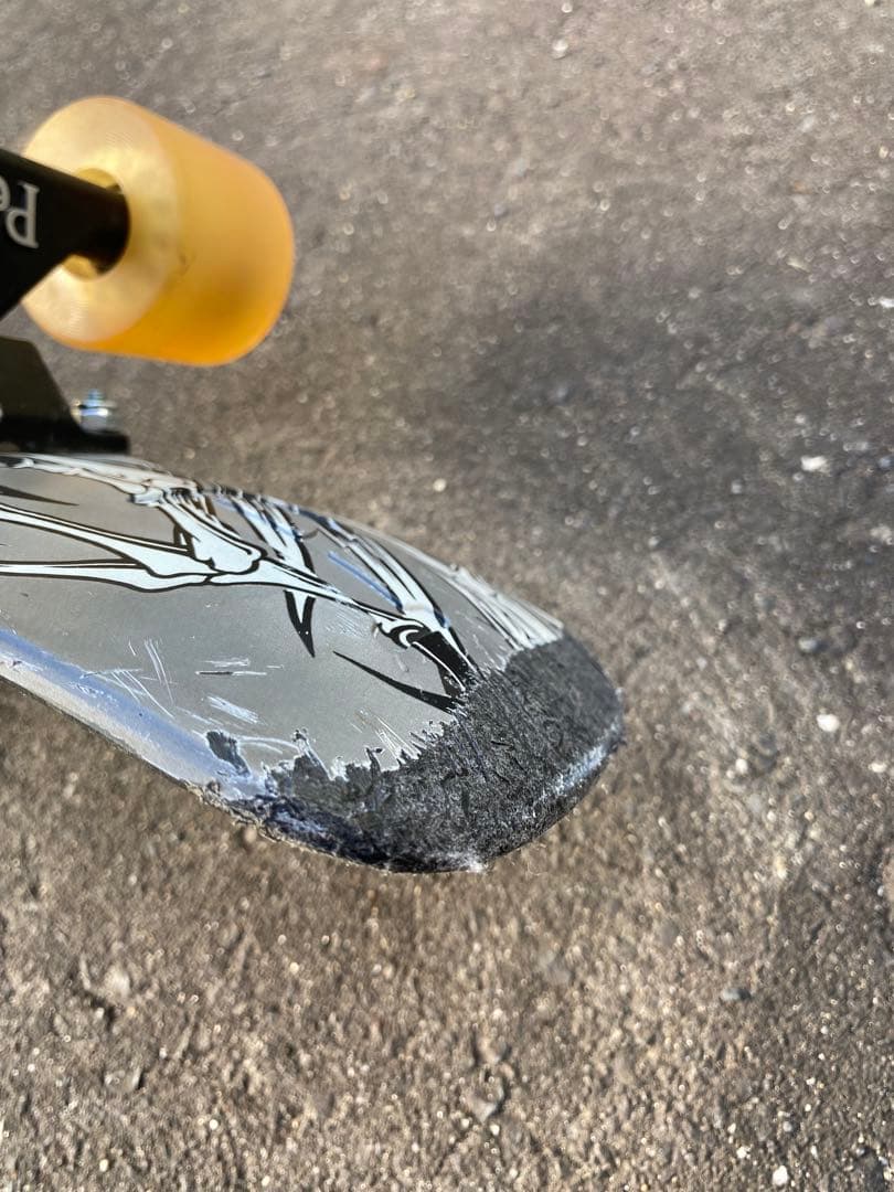 ペニー　tonny hawk Penny ニッケル NICKEL