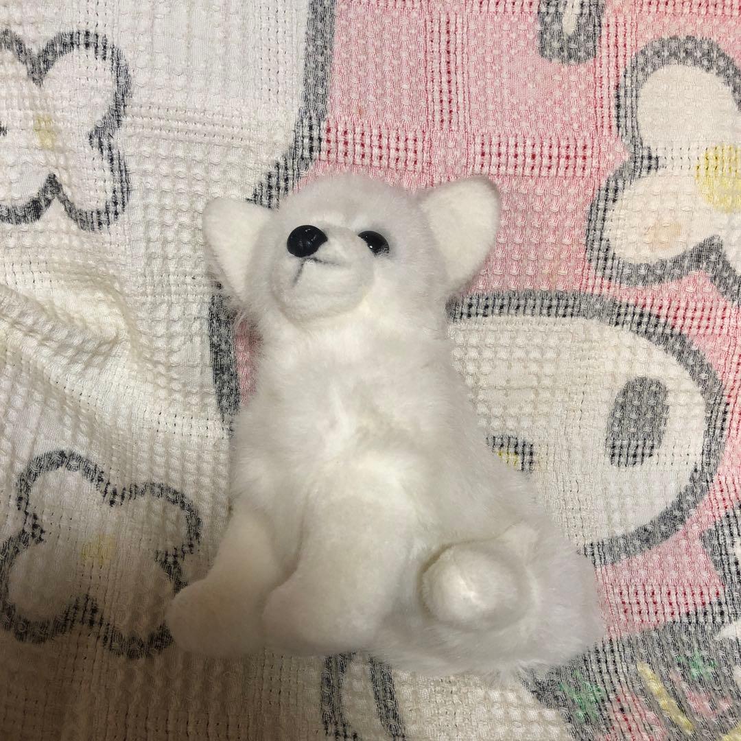 レトロ　チワワ　ぬいぐるみ　中古品　メーカー名不明