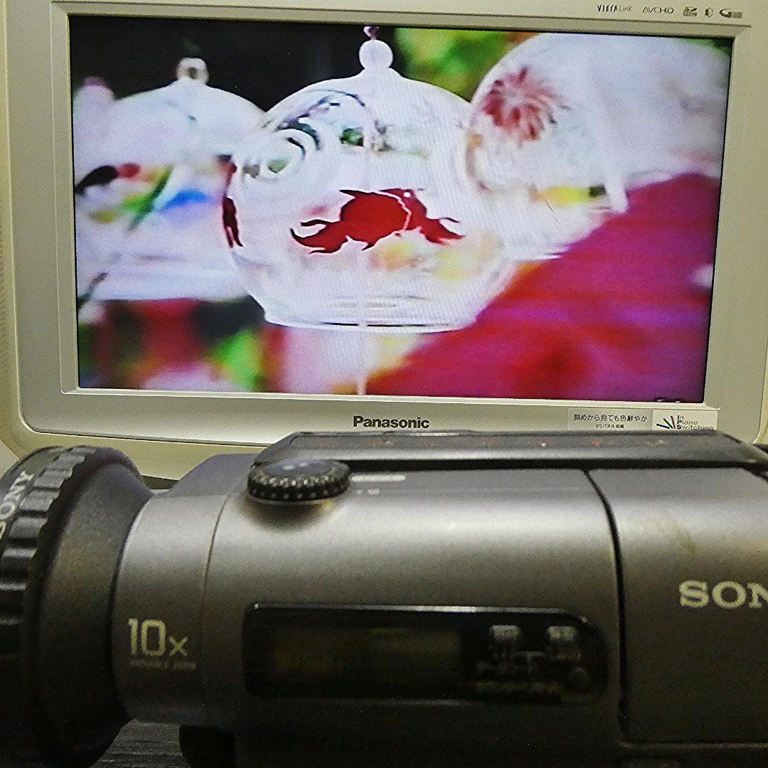 美品・動作良好 Hi8ソニー CCD-TR3　8ミリビデオカメラ DVD化に最適