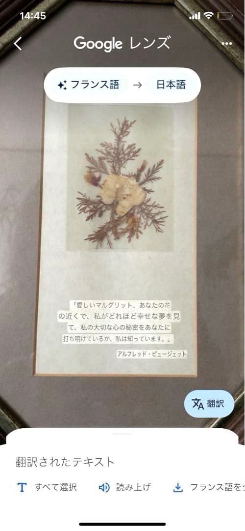 フランス製♡押し花アートフレーム♡幸せメッセージ入り♡ペア