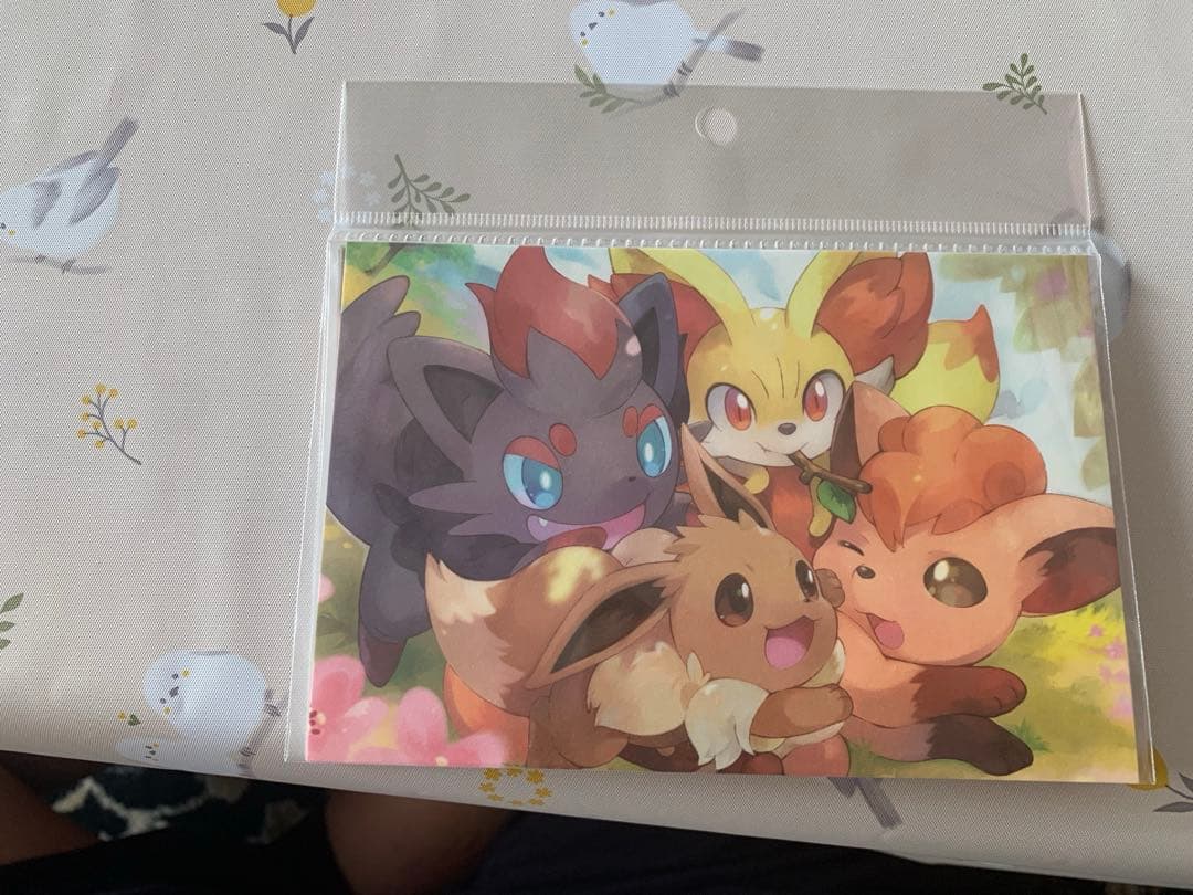 ポケモン センター 20th クリアシート&絵はがき