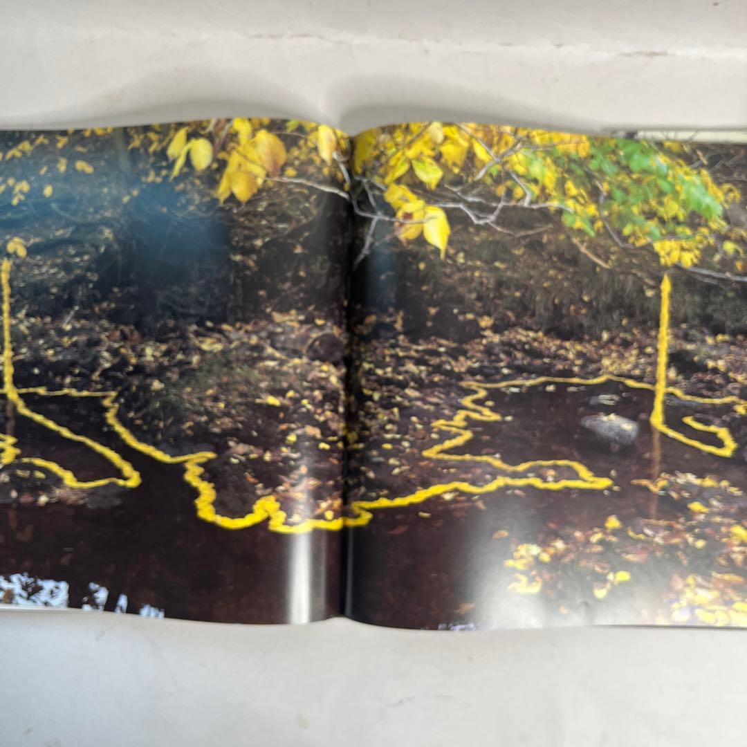 現代美術家アンディゴールズウォスリイ写真集 ボイス