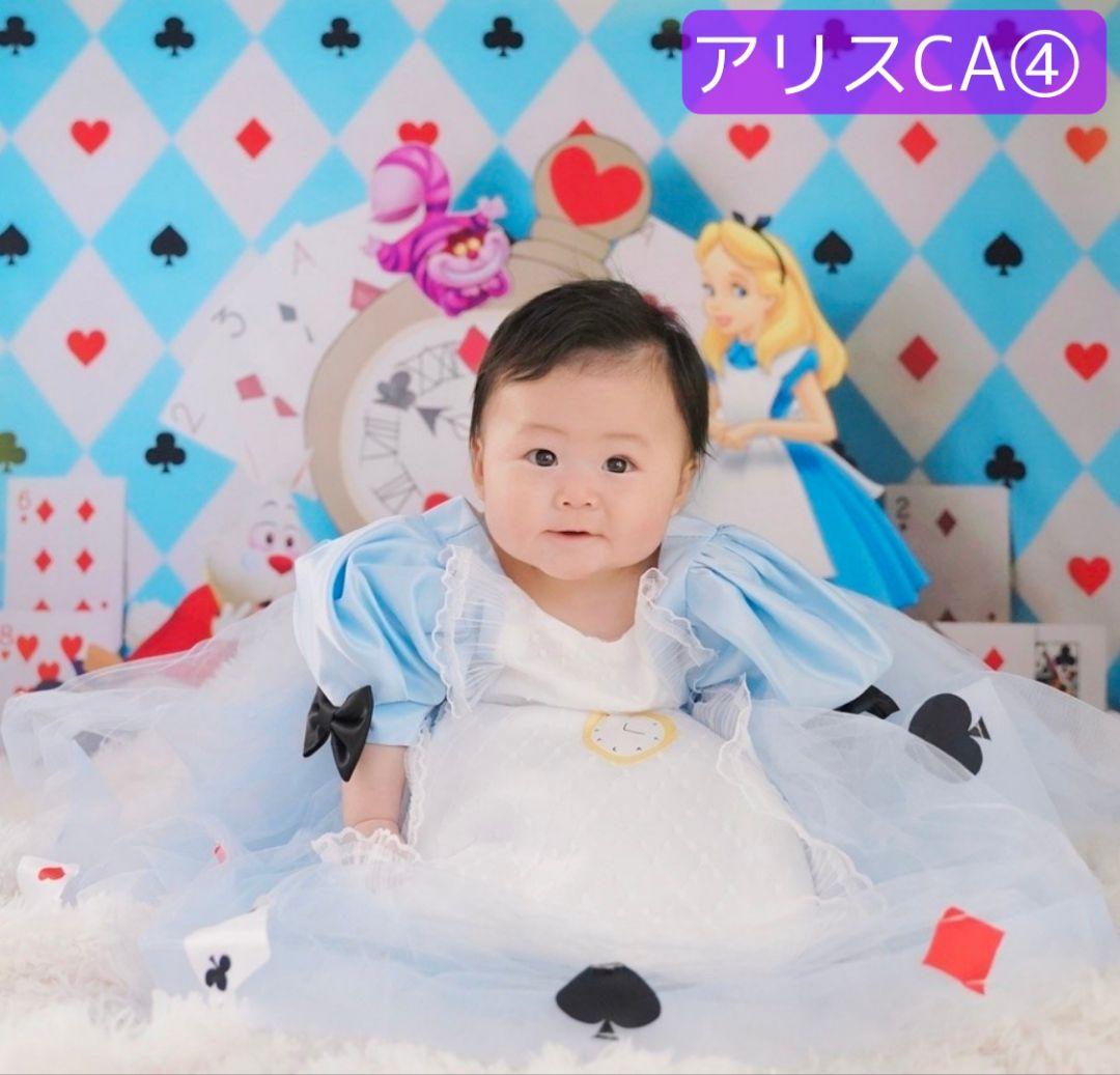 業務用トリミングチョーカー+背景布 ペット撮影用フォトブース ハロウィン