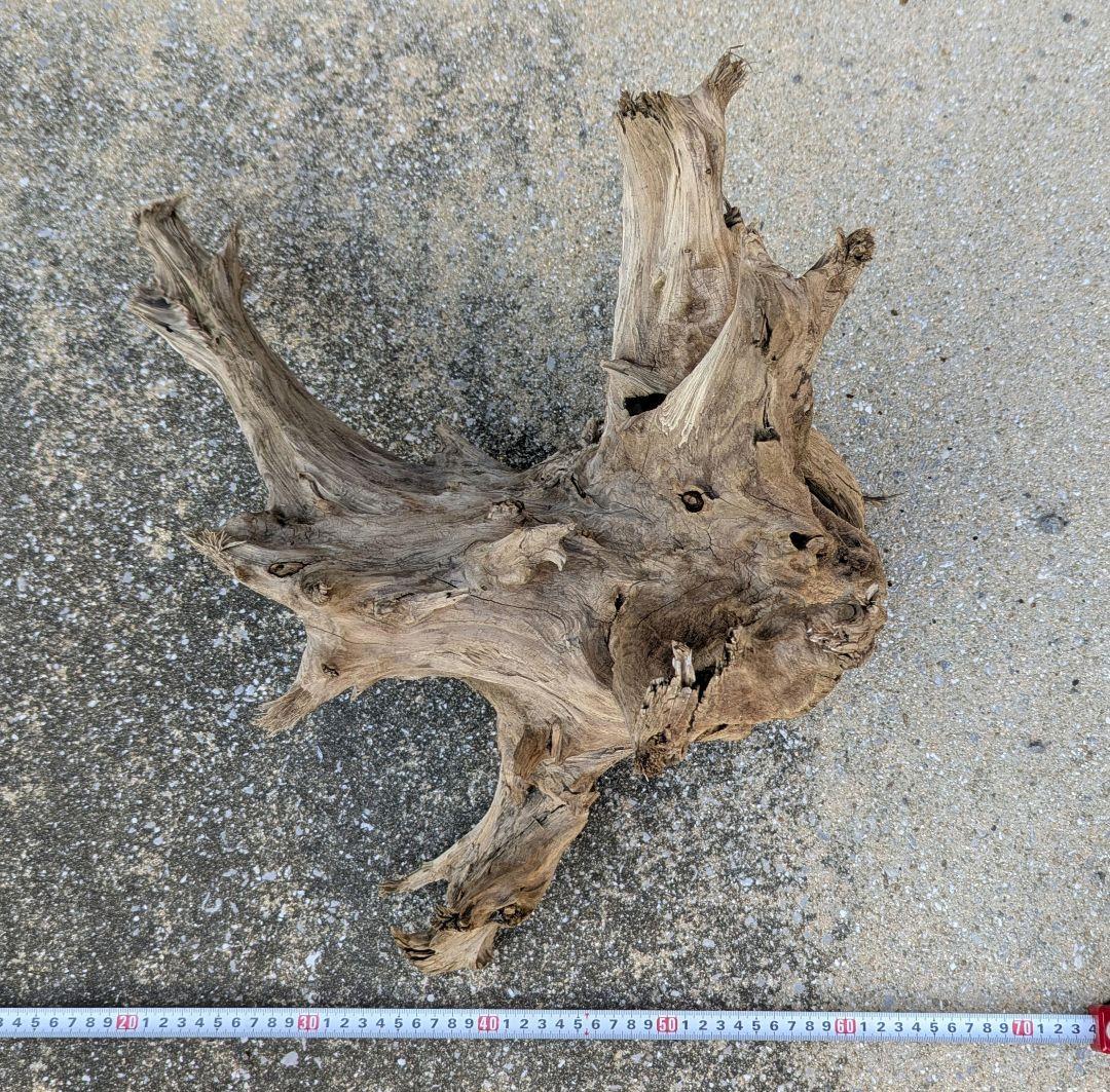 黄虎石セット 約13㎏