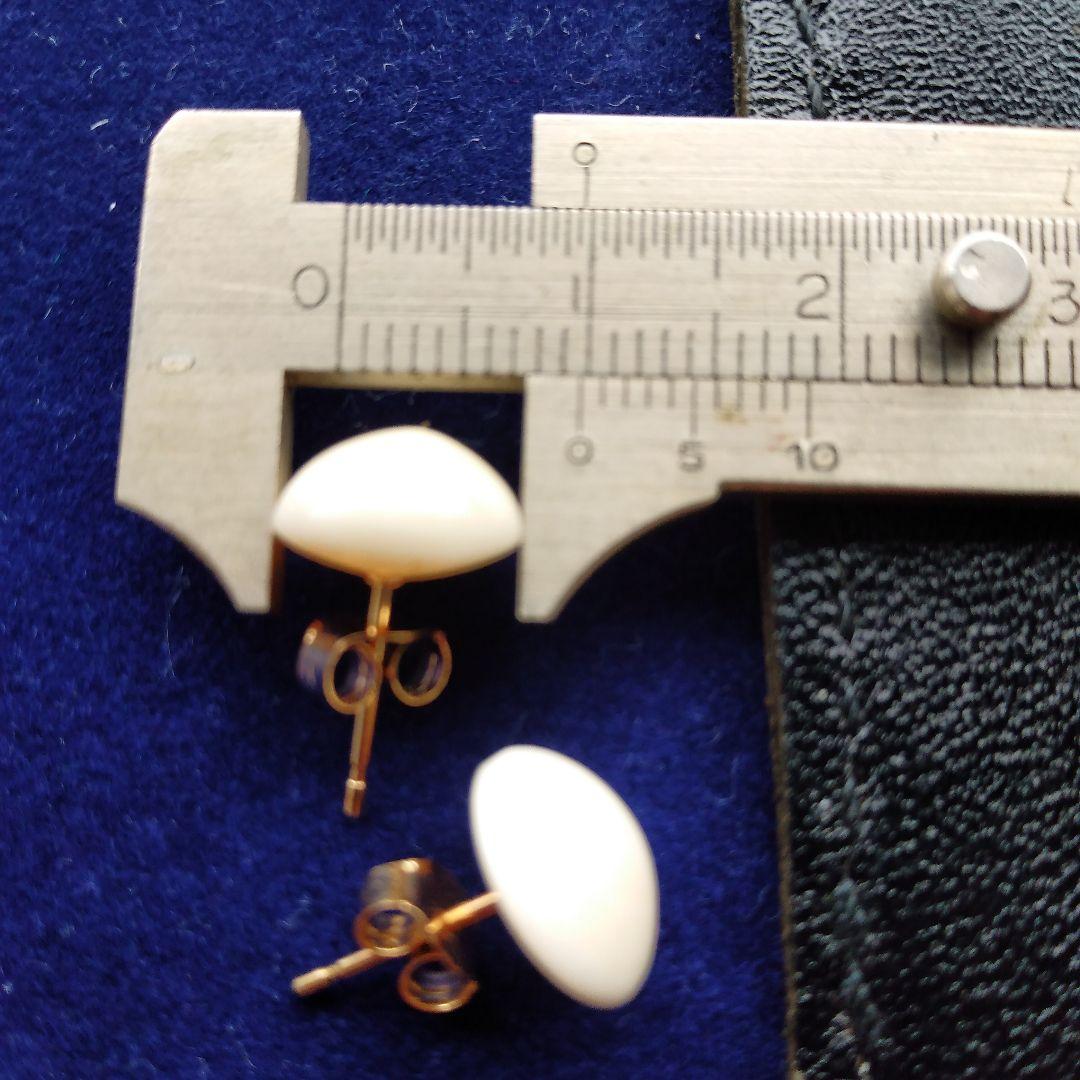 鯨歯 マッコウクジラ イヤリング＆ピアス - メルカリ