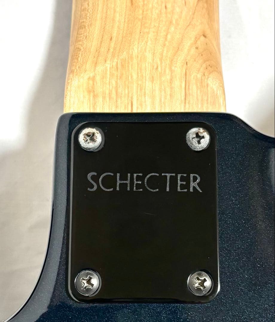 【新品弦張替済】Progauge 7弦ギター フロイドローズ シェクター