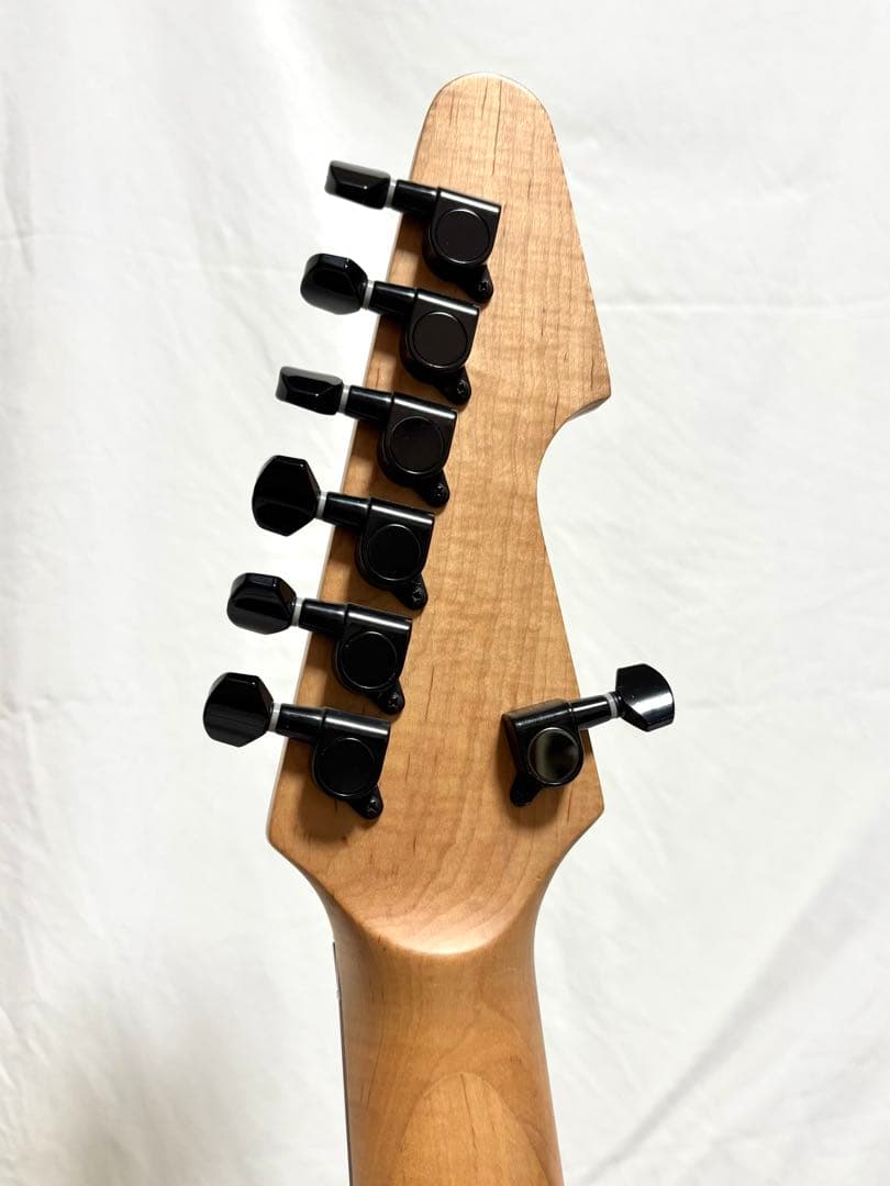 【新品弦張替済】Progauge 7弦ギター フロイドローズ シェクター