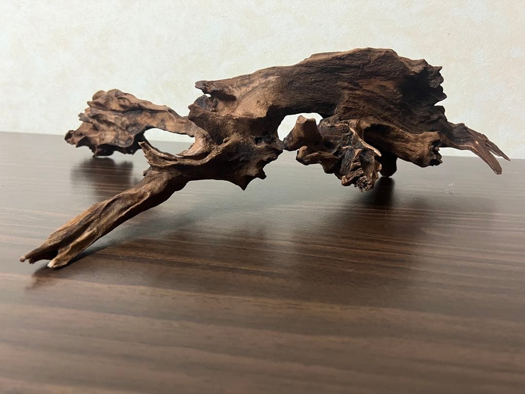 HX-057流木 マシンガンウッド ホーンウッド アクアリウム ブランチウッド