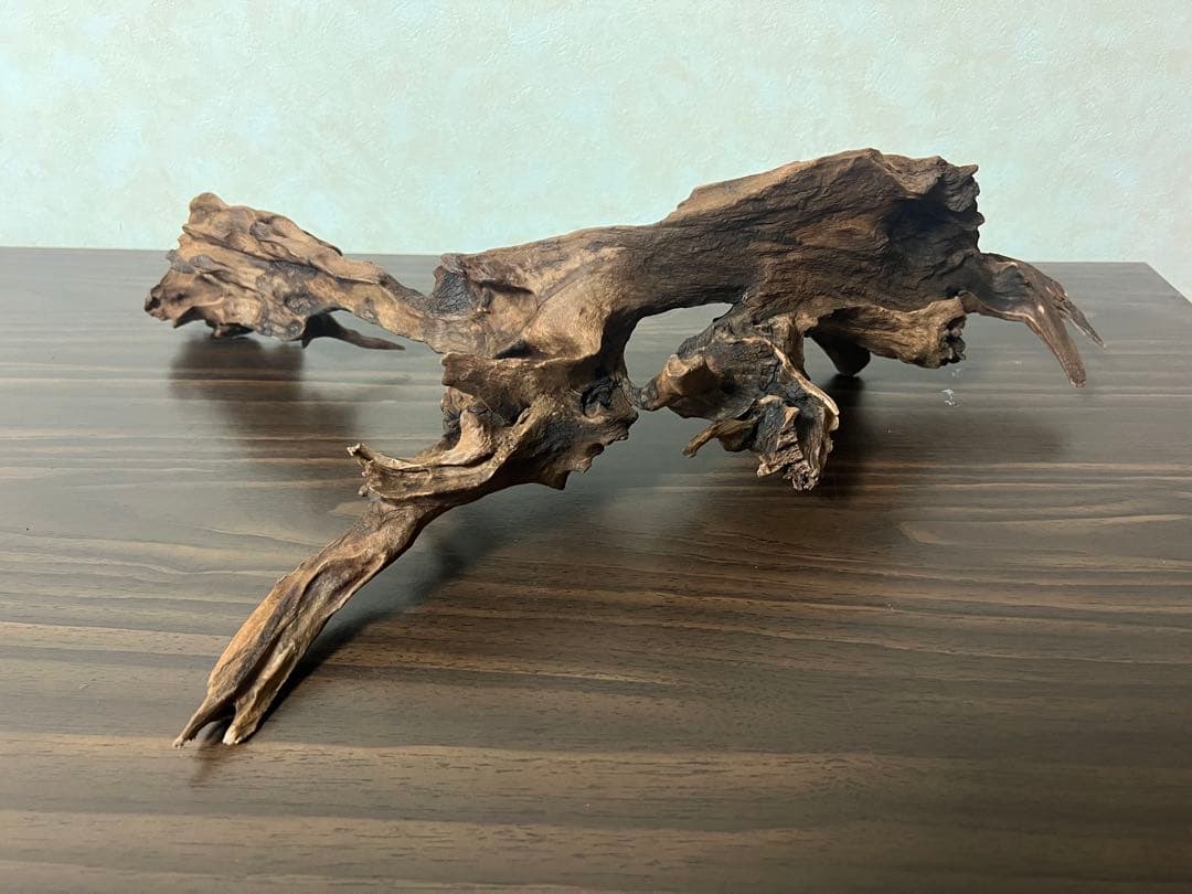 HX-057流木 マシンガンウッド ホーンウッド アクアリウム ブランチウッド