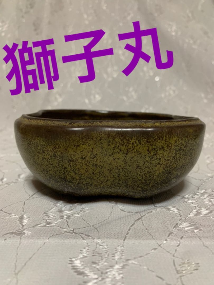 獅子丸　盆栽鉢 獅子丸 盆栽鉢の通販はau PAY マーケット - 輸入雑貨のネットストア Co