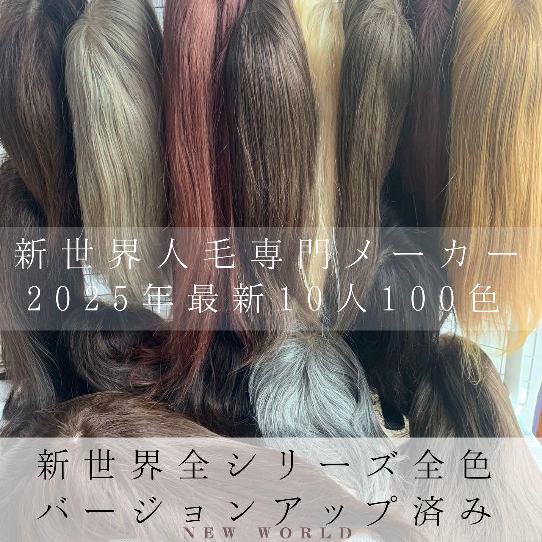 2025新世界ウィッグ高級人毛100% レミー人毛【総手植え】 S Sサイズ