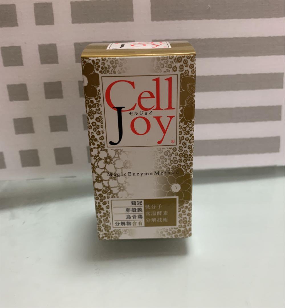 長野史子 トップ ガラス プレート 台座 ペーパーウェイト 長野史子