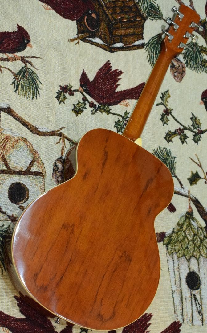 Ibanez PF200NT アコースティックギター ケース付